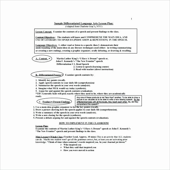 Differentiated Lesson Plan Template New Sample Lesson Plan for Teaching Writing Skills
