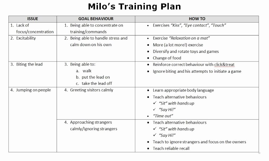 Printable Dog Training Plan Template