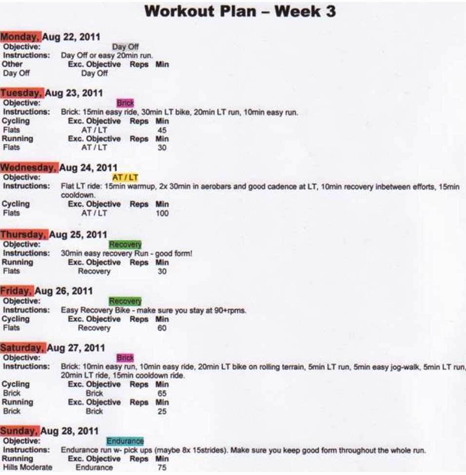 Dog Training Plan Template Beautiful 28 Of Obe Nce Training Plan Template