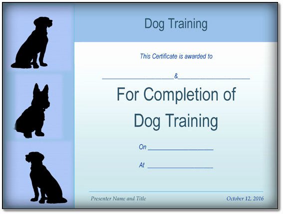 Dog Training Plan Template Best Of Dog Training Certificate Sample – Pdf format – Word