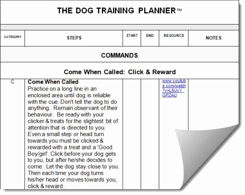 Dog Training Plan Template Elegant 28 Of Obe Nce Training Plan Template