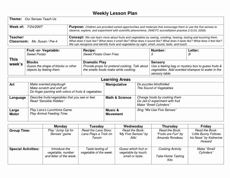 Early Childhood Lesson Plan Template Fresh Naeyc Lesson Plan Template for Preschool