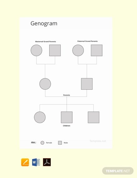 Editable Genogram Template Elegant Free Blank Genogram Template Download 58 Family Trees In