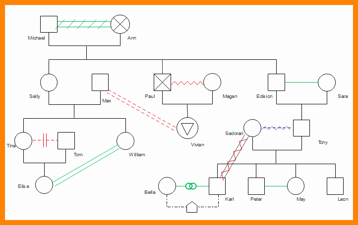 Editable Genogram Template Unique Genogram Examples Nogram Template Frame Vereador