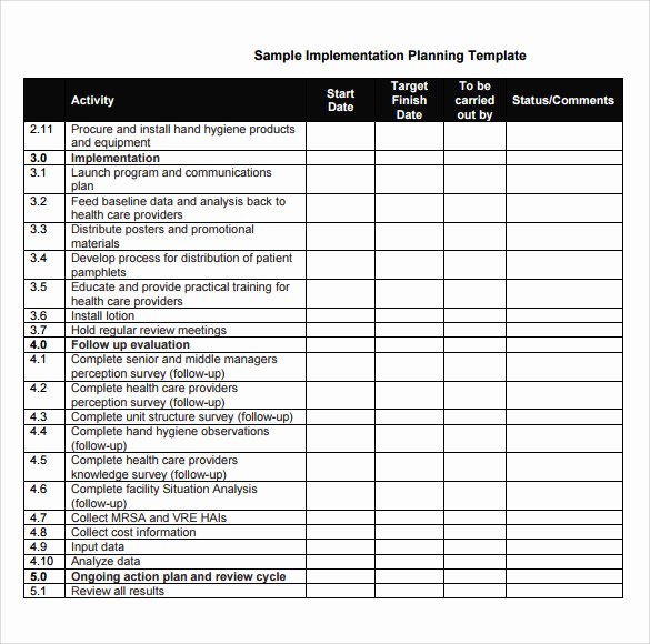 30 Ehr Implementation Plan Template Hamiltonplastering