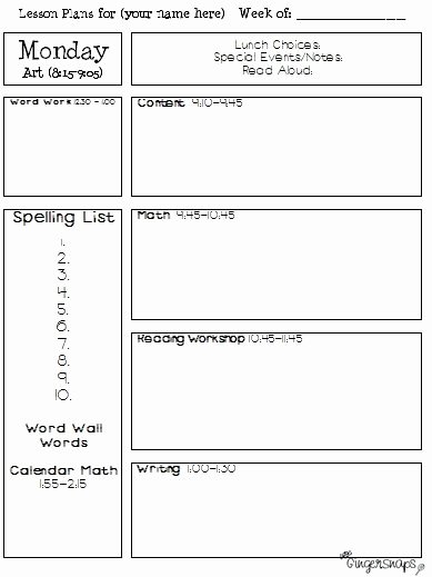 Elementary Art Lesson Plan Template Best Of Lesson Plan Template organization