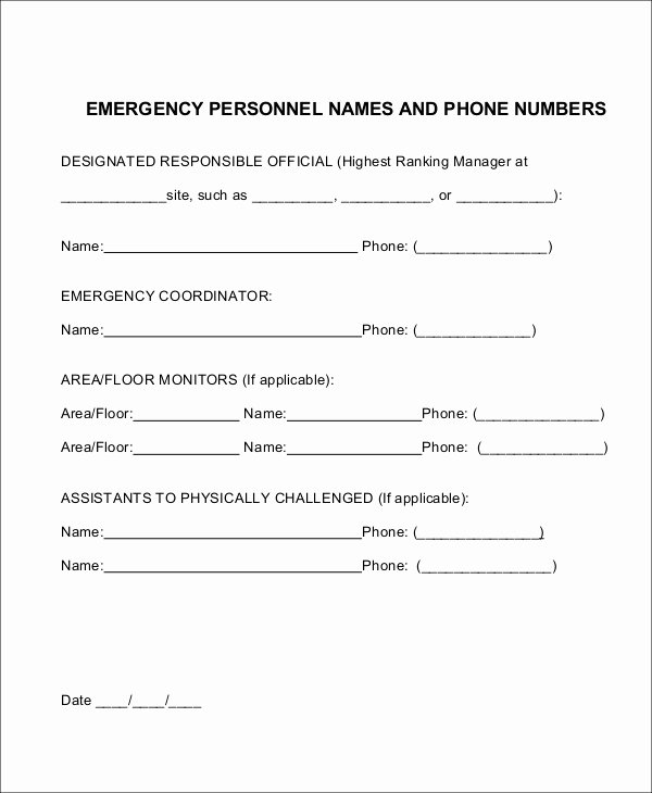 Emergency Action Plan Template Awesome Action Plan Templates 9 Free Word Pdf Documents