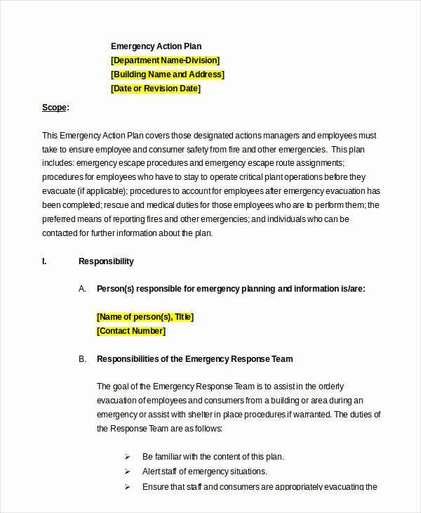 Emergency Action Plan Template Unique Emergency Action Plan Template 9 Free Sample Example