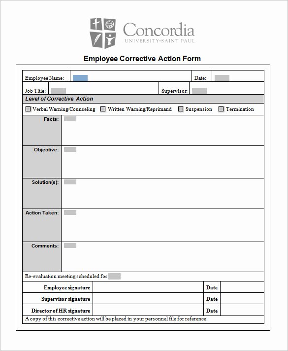 Employment Action Plan Template Beautiful 85 Action Plan Templates Word Excel Pdf