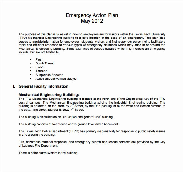 Fire Department Pre Plan Template Elegant 12 Sample Employee Action Plan Templates
