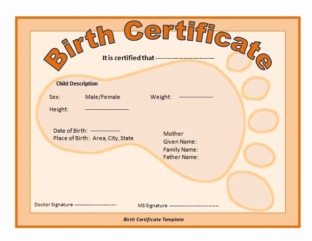 Florida Death Certificate Sample Beautiful 6 Best Of Florida Birth Certificate Example
