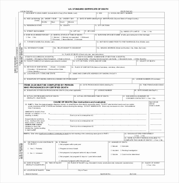 Florida Death Certificate Sample Elegant Florida Death Certificate Template Word to Pin On