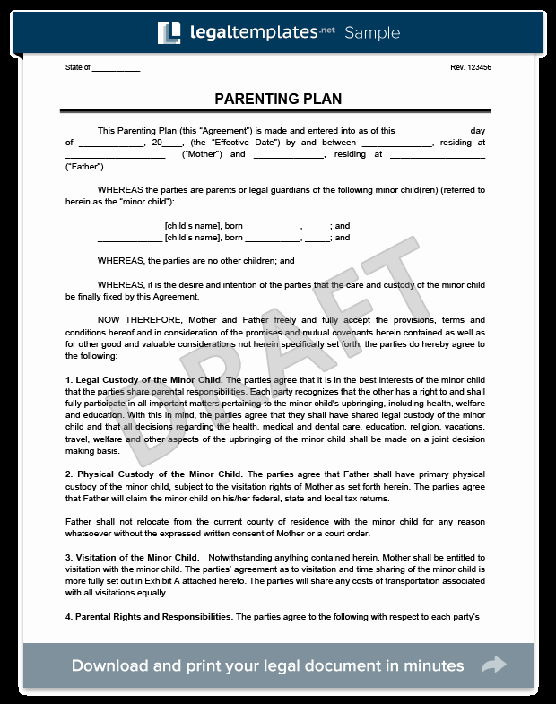 Free Parenting Plan Template Awesome Pet Custody Agreement