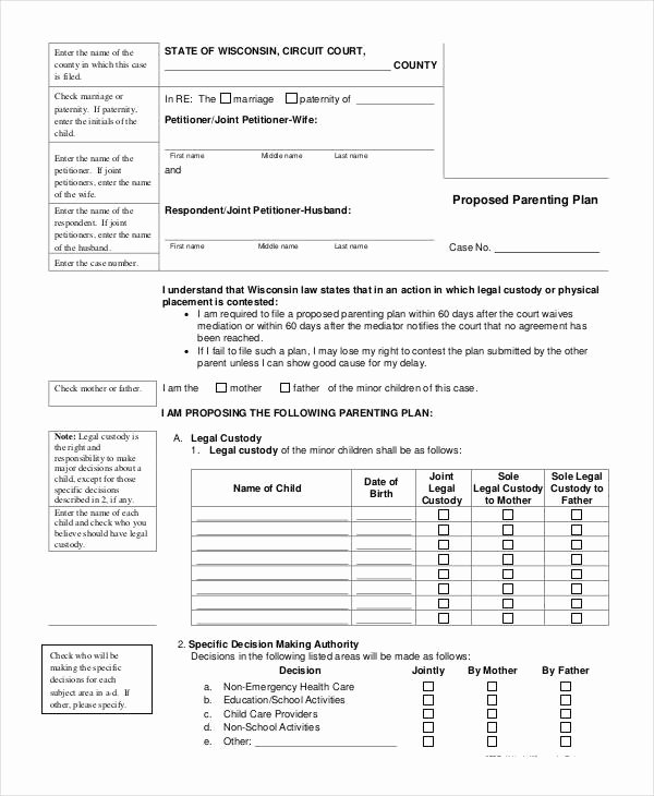 Free Parenting Plan Template Download New Parenting Plan Template
