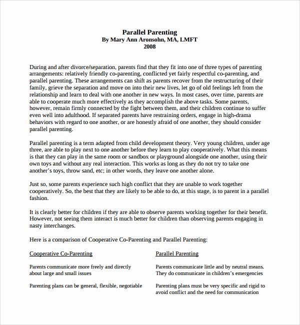 Free Parenting Plan Template Lovely Sample Parenting Plan Template 8 Free Documents In Pdf