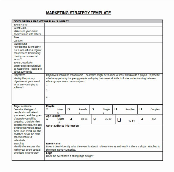 Free Strategy Plan Template Lovely 13 Strategy Templates Microsoft Word Free Download