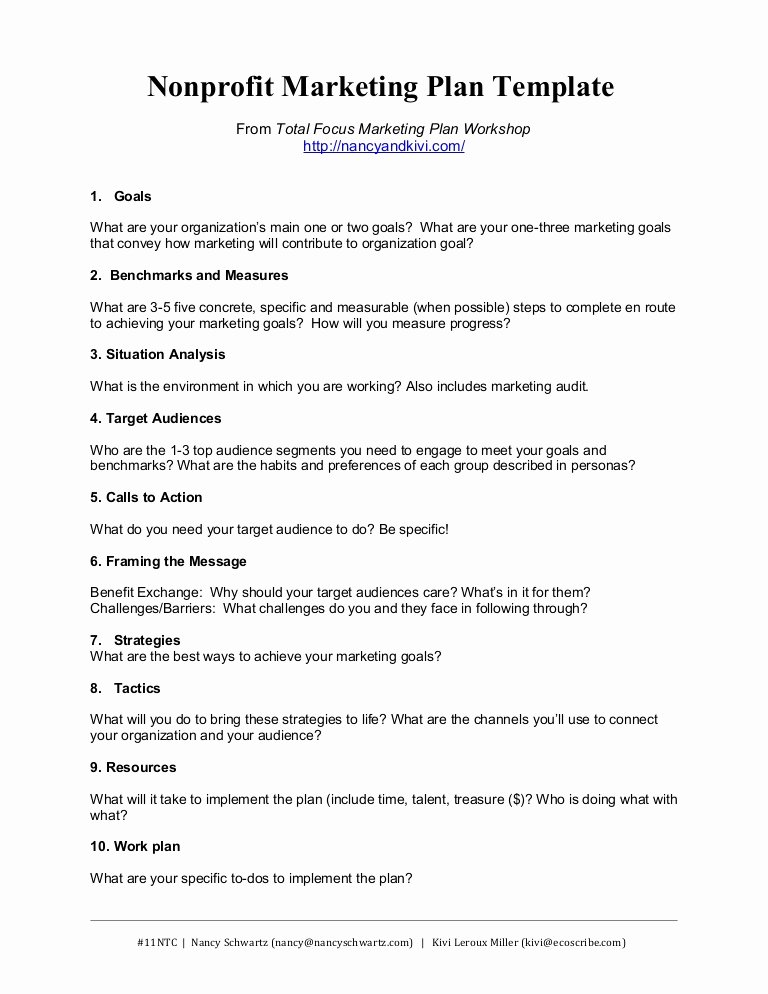 Fundraising Campaign Plan Template Best Of Nonprofit Marketing Plan Template Summary