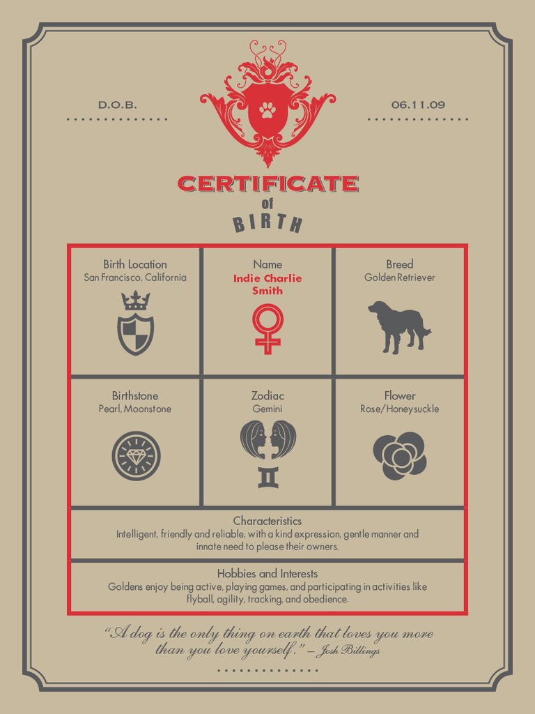 German Birth Certificate Template Unique Custom Dog Birth Certificate Posters From My Happy Park