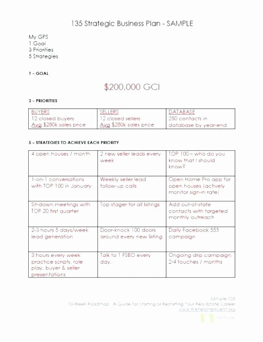 Google Docs Business Plan Template Inspirational Business Exit Strategy Template Sample Your Business Plan