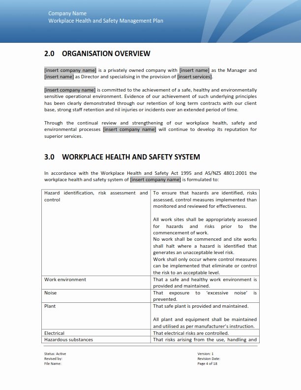 Health and Safety Plan Template Best Of Safety Management Plan Templates