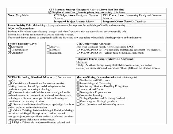 High Scope Lesson Plan Template Elegant We Marzano and Libraries On Pinterest