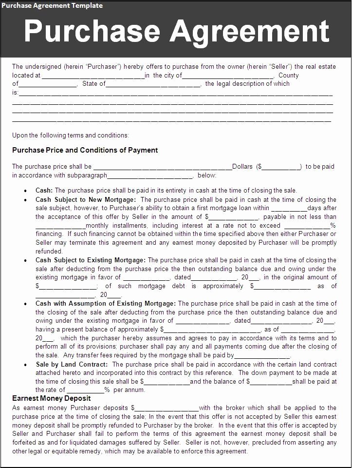Home Buyout Agreement New Real Estate Purchase Agreement Template
