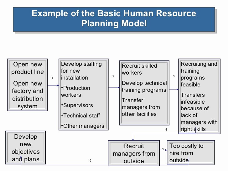 Hr Strategic Plan Template Inspirational Human Resource Planning