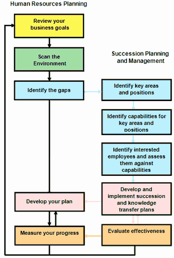 Human Resources Strategic Plan Template Beautiful Succession Planning and Management Guide