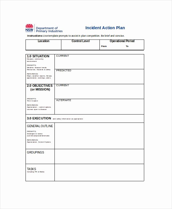 Incident Action Plan Template Luxury Action Plan Template 14 Free Word Pdf Document