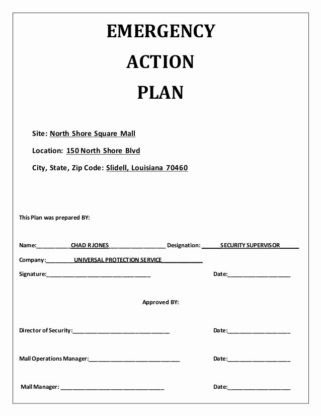 Incident Action Plan Template Luxury Emergency Action Plan