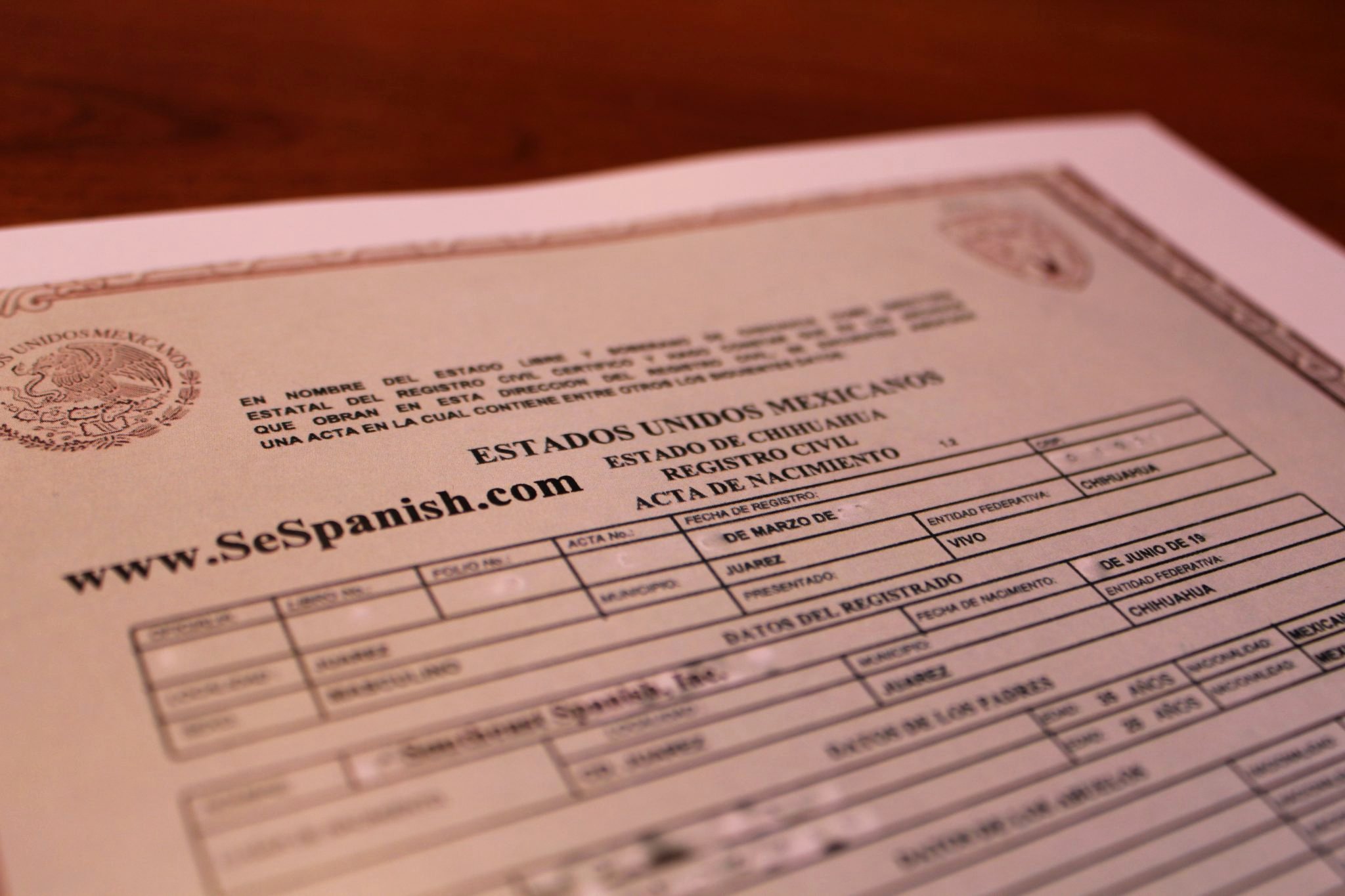 Inextensa In English Unique Birth Certificate Translation