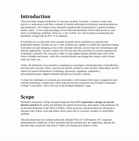 Information Security Plan Template Inspirational Information Security Policy Template Free