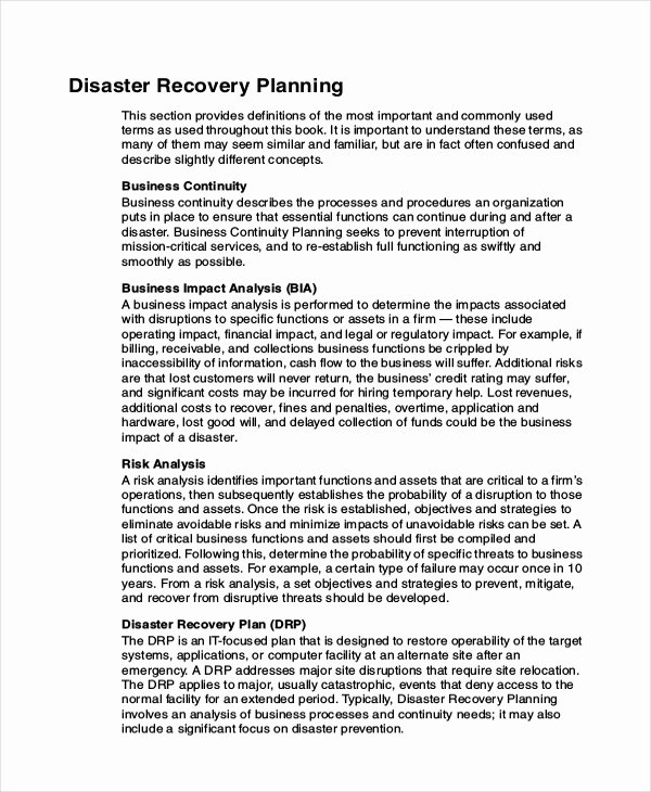 It Disaster Recovery Plan Template Unique 9 Disaster Recovery Plan Examples