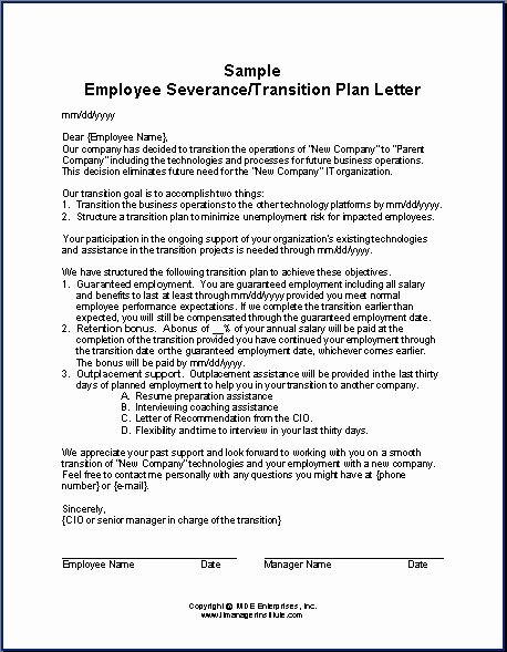Job Transition Plan Template Awesome August 2011