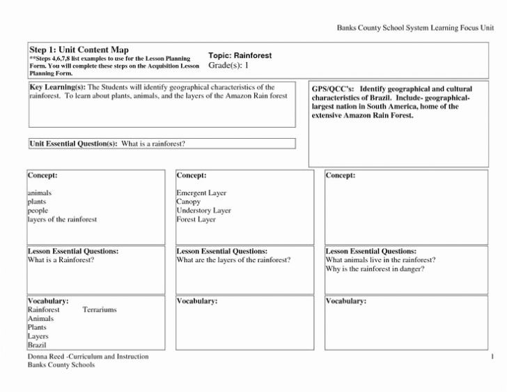 Learning Focused Lesson Plan Template Awesome Emergent Curriculum Lesson Plan Template Intricutlaser
