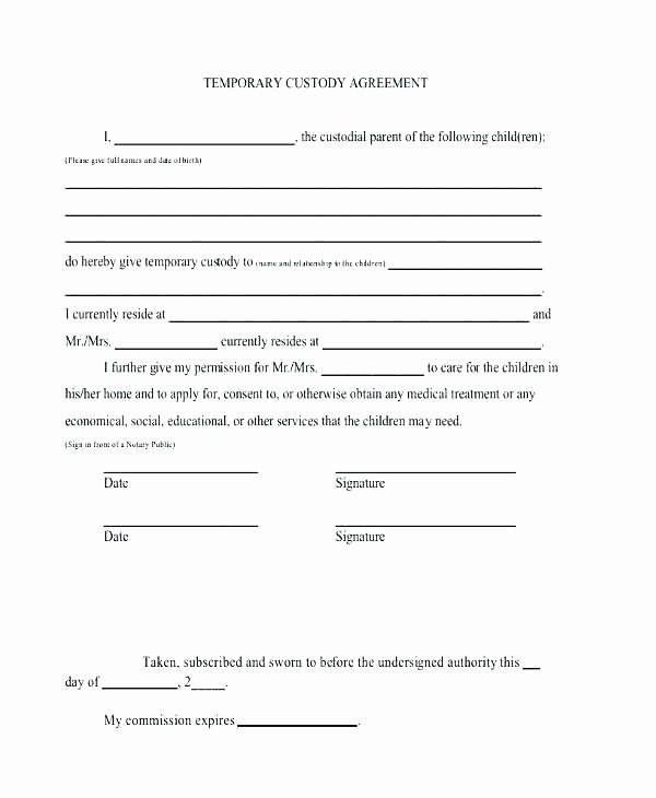 Long Distance Parenting Plan Template Best Of Temporary Guardianship forms