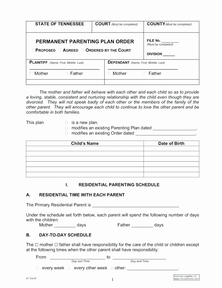 Long Distance Parenting Plan Template Inspirational D Parenting Agreement Template Simple Plan Email