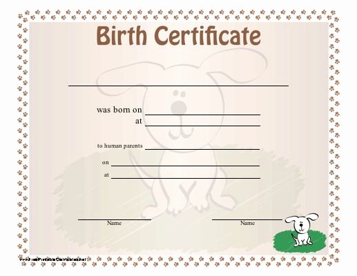 Long form Birth Certificate Sample Best Of A Dog Birth Certificate for A Puppy or Little Of Puppies