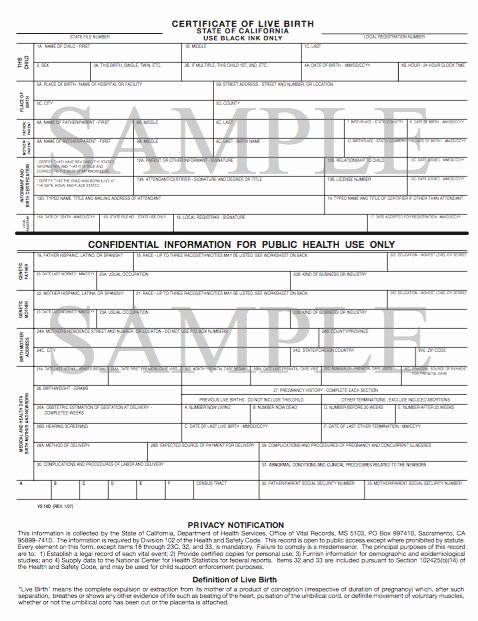 Long form Birth Certificate Sample Luxury Birth Certificate Sample form
