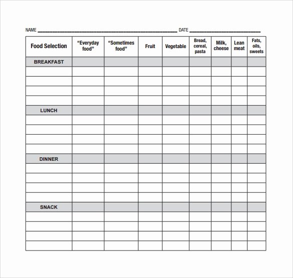 Meal Plan Spreadsheet Template Luxury Meal Planning Template 17 Download Free Documents In Pdf