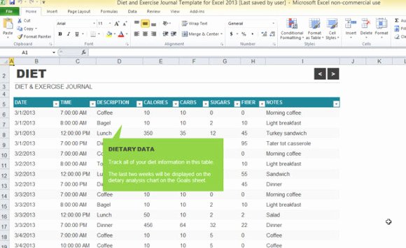 Meal Plan Template Excel Awesome Diet and Exercise Journal Template for Excel 2013