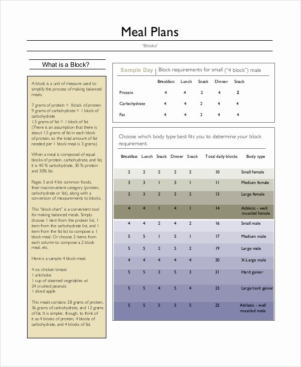 Meal Plan Template Pdf Inspirational Sample Meal Planning 7 Documents In Word Pdf
