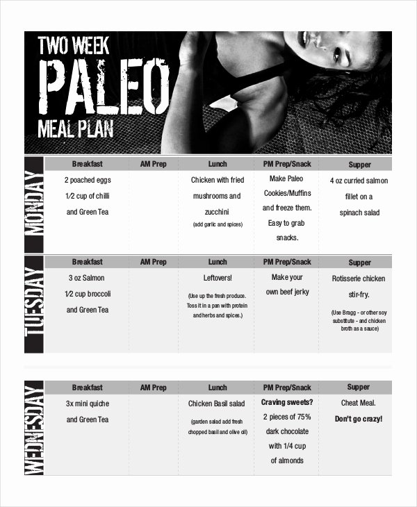 Meal Plan Template Pdf Inspirational Weekly Meal Planner 10 Free Pdf Psd Documents Download