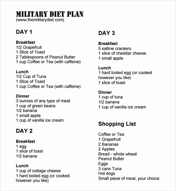 Meal Plan Template Word Fresh Sample Diet Plan Template 9 Free Documents In Pdf Word