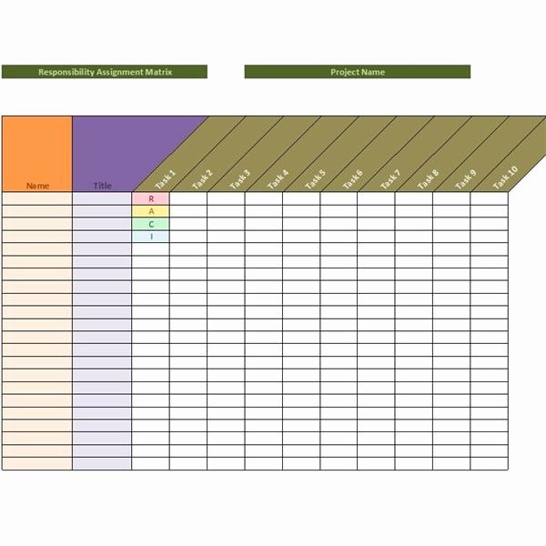 Microsoft Excel Raci Template Awesome Sample Raci Project Management Template
