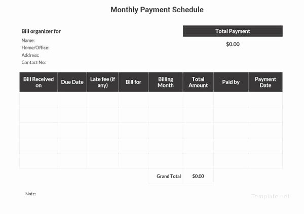 Monthly Payment Plan Template Beautiful 22 Payment Schedule Templates Word Excel Pdf
