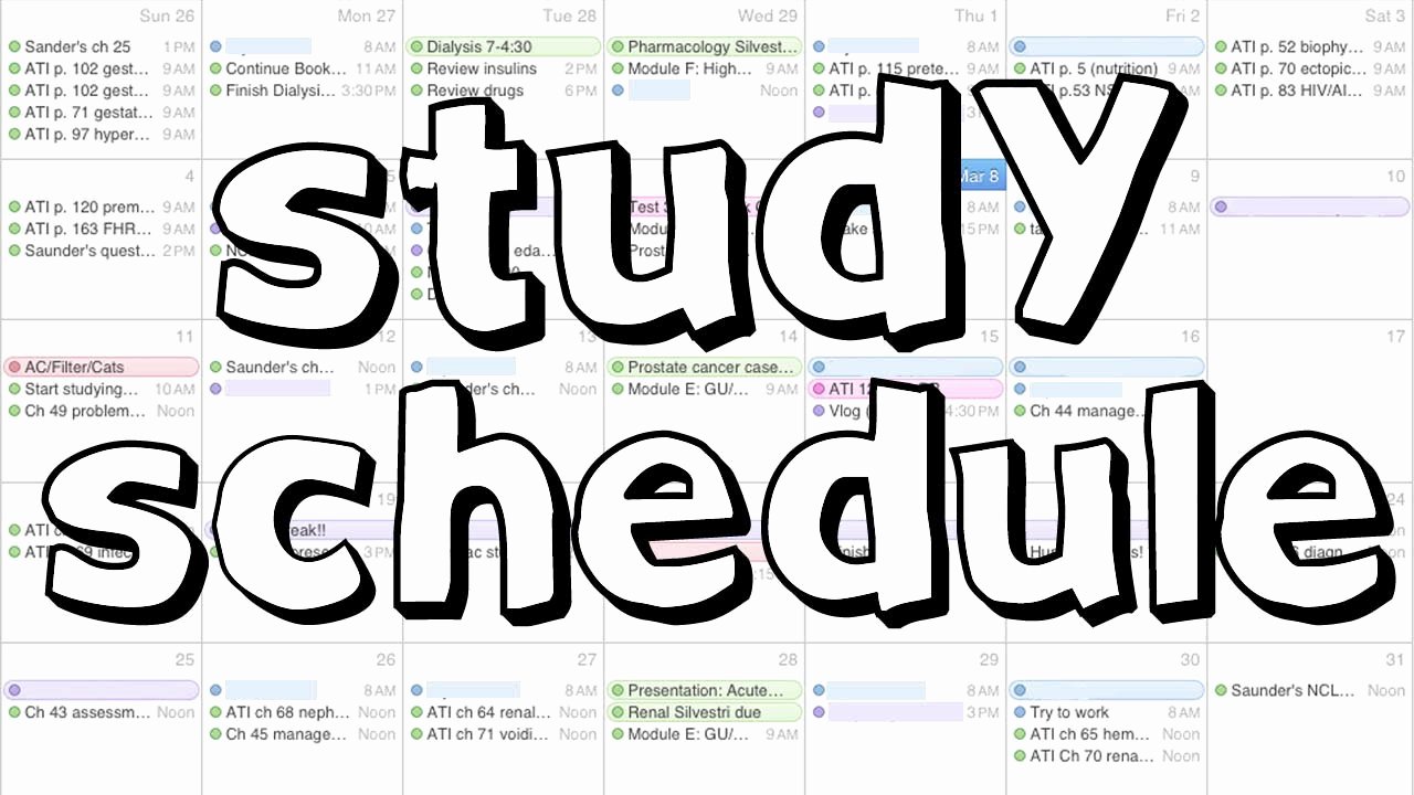 Nclex Study Plan Template Awesome How to Set Your Mcat Study Schedule