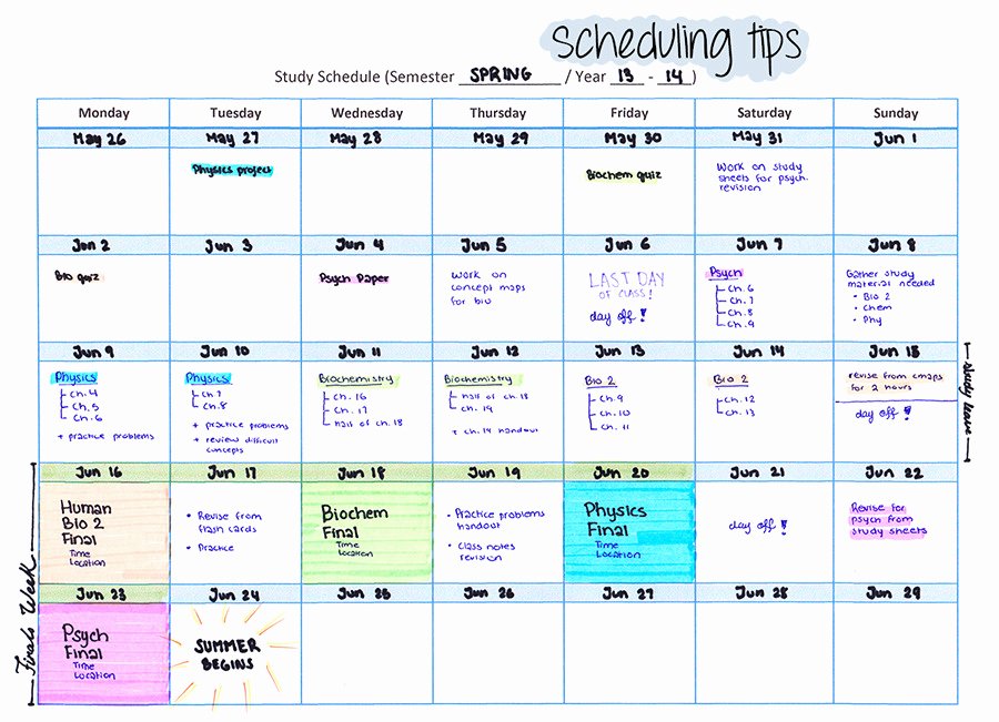 Nclex Study Plan Template Unique Tumblr N6svdikwa61txjydao6 R2 1280