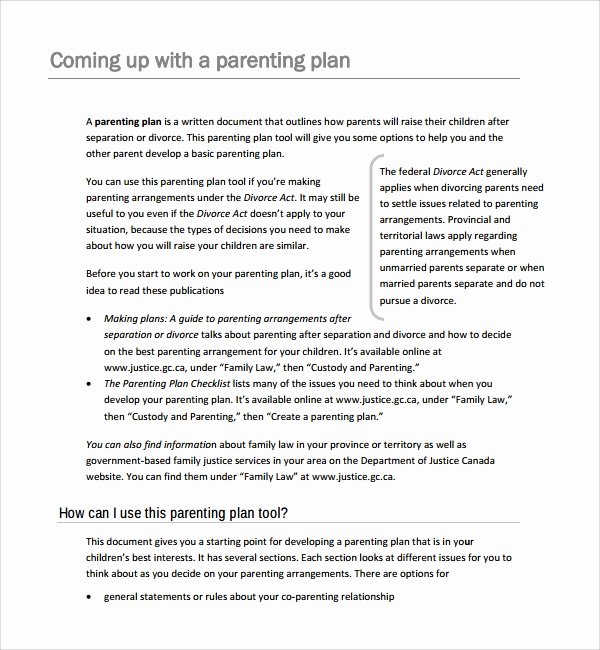 Parenting Plan Template Free Elegant Sample Parenting Plan Template 8 Free Documents In Pdf
