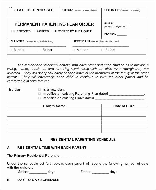 Parenting Plan Template Free Lovely 9 Parenting Plan Templates Free Sample Example format